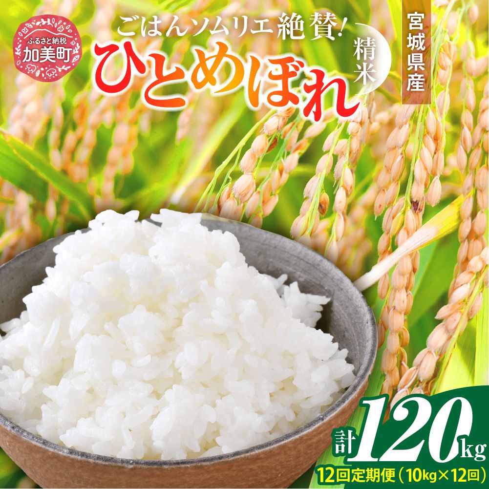 【12回定期便】 精米 令和7年産 宮城県産ひとめぼれ 計120kg (10kg×12回) [菅原商店 宮城県 加美町 ]   |sg-hb10-t12-r7
