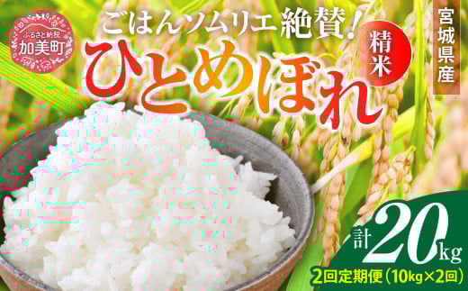 【2回定期便】 精米 令和7年産 宮城県産ひとめぼれ 計20kg (10kg×2回) [菅原商店 宮城県 加美町 ]  |sg-hb10-t2-r7