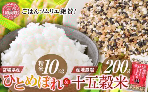  精米 令和7年産 宮城県産ひとめぼれ 10kg ＋ 十五穀米200gセット  [菅原商店 宮城県 加美町 ]   |sg-hb10-15k