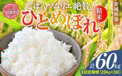 【3回定期便】 精米 令和7年産 宮城県産ひとめぼれ 計60kg (10kg×2袋)×3回 [菅原商店 宮城県 加美町 ]   |sg-hb20-t3-r7