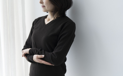 Vネックプルオーバー 度詰（コゲチャ）女性用サイズ:L(40)≪白田のカシミヤ≫