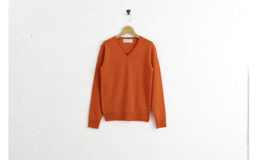 Vネックプルオーバー 度詰(キャロット)男性用サイズ:S(40)≪白田のカシミヤ≫