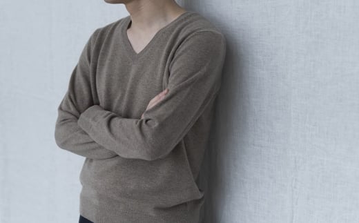 Vネックプルオーバー 度詰(コルク)男性用サイズ:L(44)≪白田のカシミヤ≫