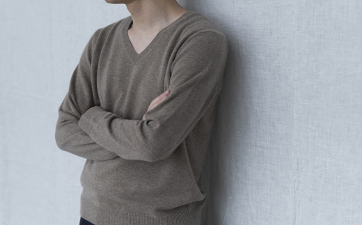 Vネックプルオーバー 度詰(コルク)男性用サイズ:LL(46)≪白田のカシミヤ≫