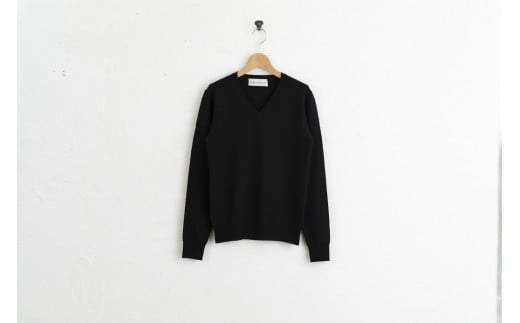 Vネックプルオーバー 度詰(コゲチャ)男性用サイズ:L(44)≪白田のカシミヤ≫