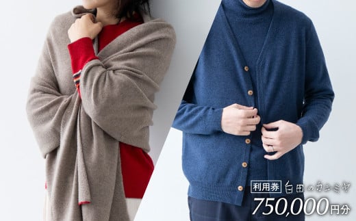 《あとから選べる！》 白田のカシミヤ　利用券【75万円分】 カシミア 100％ 最高級 ニット 手づくり  白田カシミヤ 300万円