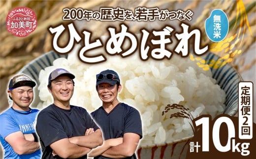 【無洗米】【5kg×2回 計10kg】 米 宮城県産 ひとめぼれ 5kg 定期便 《 令和7年産 新米 》 白米 精米 ご飯 ごはん コメ こめ お米 小分け 家庭用 結心ファーム [ 宮城県 加美町 ]  
