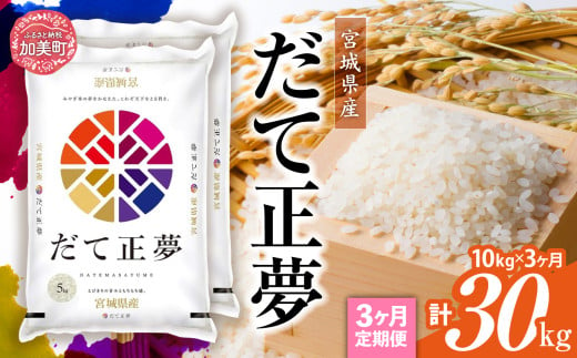 [定期便3回]令和6年産 宮城県産 だて正夢 10kg(5kg×2)×3回 [ カメイ 宮城県 加美町 km00018-r6-10kg-t3 ] お米 こめ コメ 精米 白米 だてまさむね