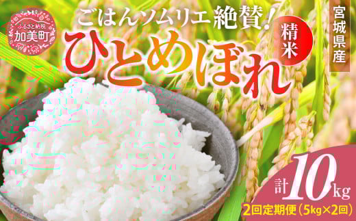 [2回定期便] 精米 令和7年産 宮城県産ひとめぼれ 計10kg (5kg×2回) [菅原商店 宮城県 加美町 ] |sg-hb05-t2-r7