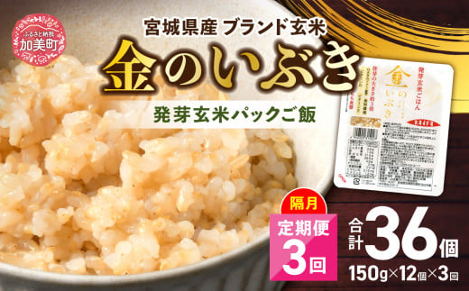 米 [ 3回 隔月 定期便 ] 宮城県産 金のいぶき 発芽玄米 パックごはん 12個×3回 総計36個 [ JA加美よつば(生活課) 宮城県 加美町 yo00005-3k] レトルト ごはん ご飯 レトルトごはん レンジ レンチン かんたん パックライス ライス 米 簡単 お手軽 アウトドア キャンプ 備蓄 非常食 常備 ひとり暮らし 防災