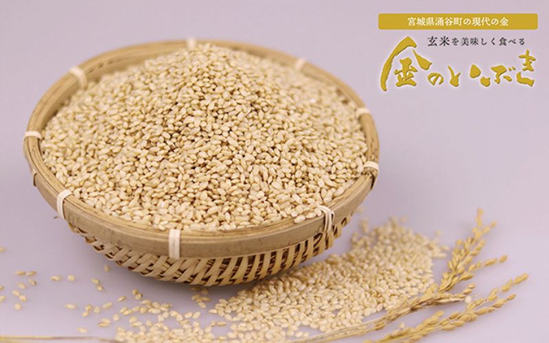 【宮城ブランド米】金のいぶき 玄米 10kg / 玄米 米 お米 ご飯 ブランド米 健康 栄養豊富 産地直送【aubless019】 玄米 10kg