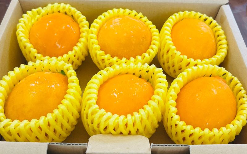 【もぎたて直送！】皮まで美味しい 黄金レモン 6個セット 約720g  / レモン ハウスレモン 檸檬 果物 くだもの 柑橘 高糖度 果汁 酸味 旬 新鮮 産地直送 【wakuyaengei004】