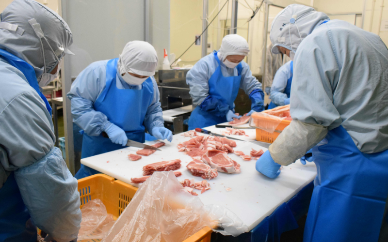 宮城県産 仙台牛 ヒレ ステーキカット 300g ( 約150g × 2枚 ) 2食入り 肉 牛肉 和牛 国産 冷凍【sari001】