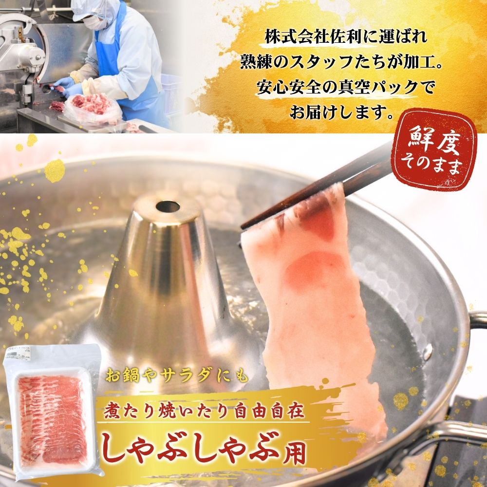 涌谷町産 宮城野ポーク 豚ロースしゃぶしゃぶ用 500g 豚肉 焼肉 BBQ 冷しゃぶ サラダ 国産豚 冷凍 小分け 細切れ こま切れ 小間切れ 切り落とし 豚 ぶた 肉 生活応援 宮城県 東北 10000円 送料無料 500g