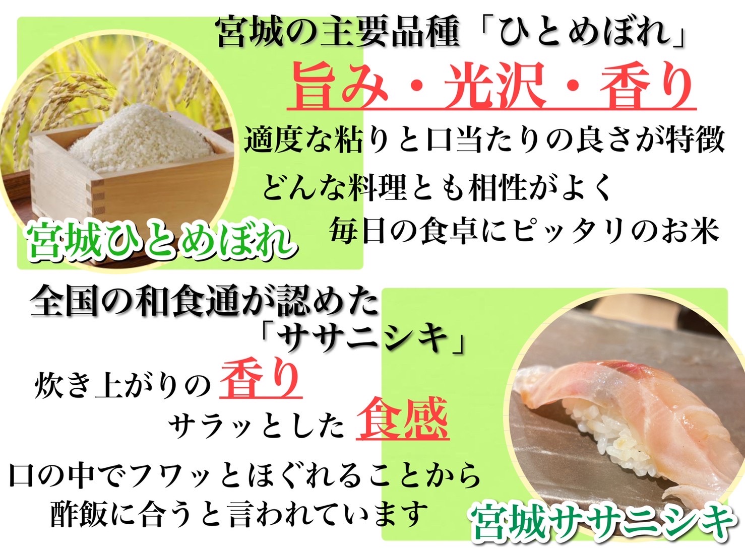 宮城県産 三大銘柄 いいとこ取りブレンド米 わくわく米 5kg×2袋 計10kg / 米 お米 精米 ブレンド米 白米 ご飯 産地直送 【araseki003】