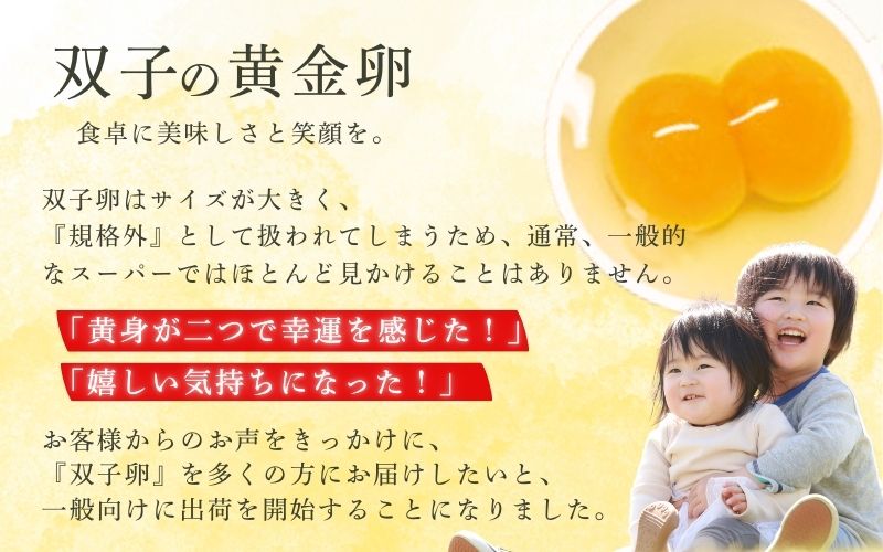 産みたて 新鮮卵 30個入り ※二黄卵3個以上入り！ / 卵 たまご 玉子 鶏卵 新鮮 濃厚 生卵 健康 産地直送 【aubless003】 1回発送