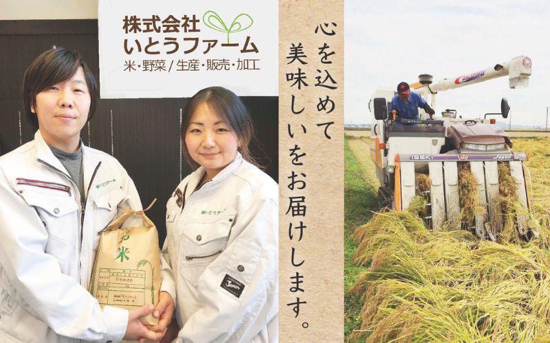 【2品種選べる】いとうファームの 令和6年産 食べ比べセットB 各2kg×2種 計4kg（ササニシキ・ひとめぼれ） / 米 お米 精米 白米 ご飯 食べ比べ セット 産地直送【itofarm002-1】 ササニシキ・ひとめぼれ