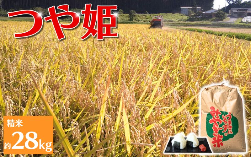 【環境保全米】アグリとみたの 令和7年産 つや姫 精米 約28㎏ / 米 お米 こめ 白米 ご飯 ライス つやひめ 産地直送 数量限定【agtomita001】