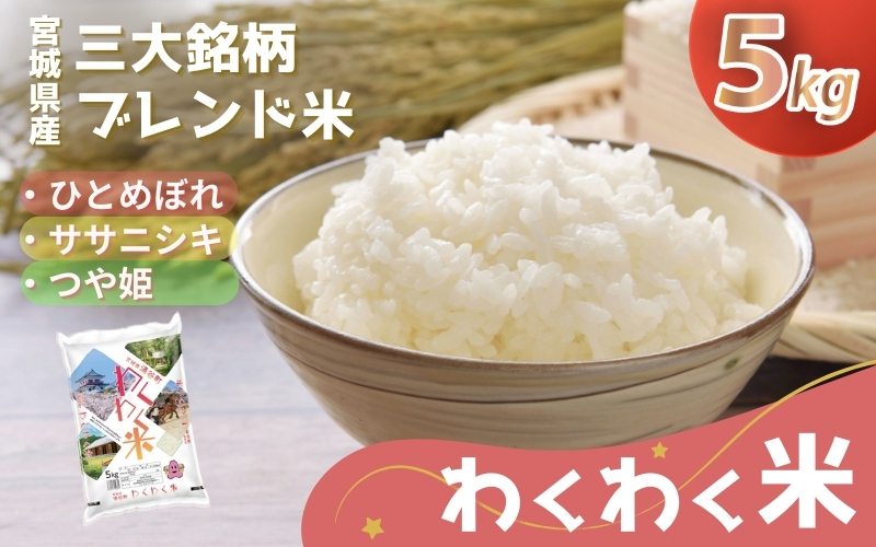 宮城県産 三大銘柄 いいとこ取りブレンド米 わくわく米 5kg / 米 お米 精米 ブレンド米 白米 ご飯 産地直送 【araseki001】