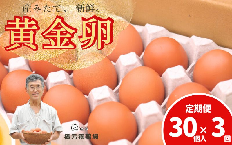 【定期便】産みたて新鮮卵 30個入り 3か月 定期便 | 卵 たまご 玉子 鶏卵 新鮮 濃厚 生卵 赤玉たまご 目玉焼き オムレツ 健康 産地直送 ※沖縄・離島への配送不可【aubless023】 3回発送（定期便）