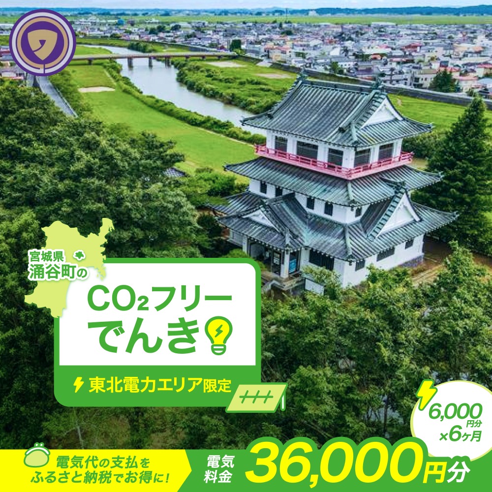 涌谷町CO2フリーでんき 6,000円×6ヶ月コース（注：お申込み前に申込条件を必ずご確認ください）東北電力 電気 電力 東北 電気代 電気料金 青森県 岩手県 宮城県 秋田県 山形県 福島県 新潟県 でんき【ens003】