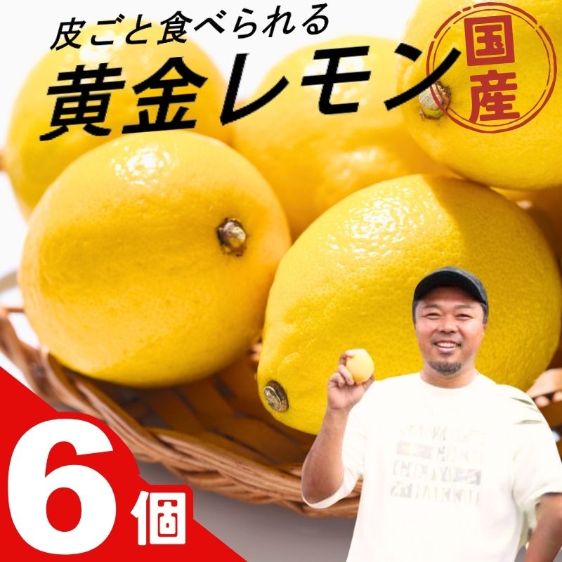 【もぎたて直送！】皮まで美味しい 黄金レモン 6個セット 約720g  / レモン ハウスレモン 檸檬 果物 くだもの 柑橘 高糖度 果汁 酸味 旬 新鮮 産地直送 【wakuyaengei004】