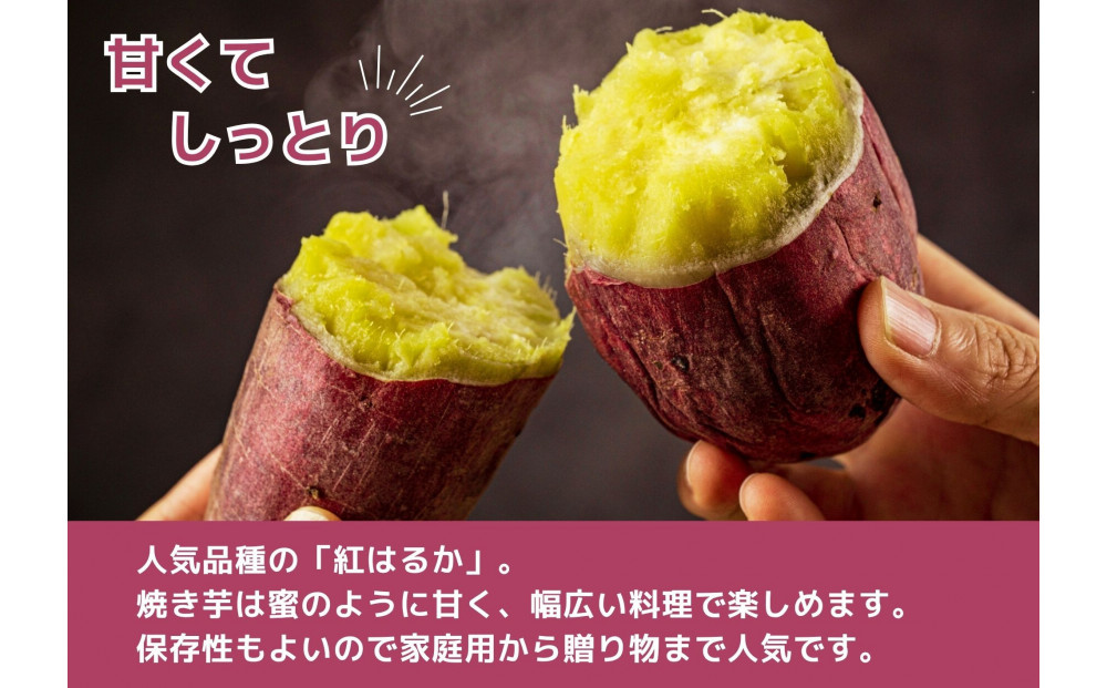 【お得な訳あり！】　さつまいも　紅はるか10kg