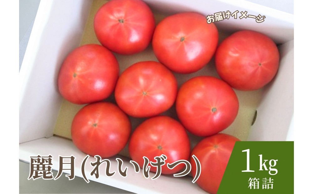 デリシャスファームのトマト(麗月)1キロ箱
