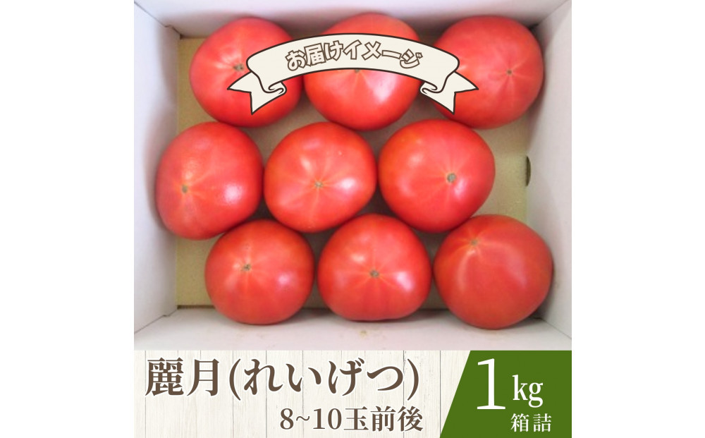 【糖度7度以上！】甘い★麗月トマト1ｋｇ