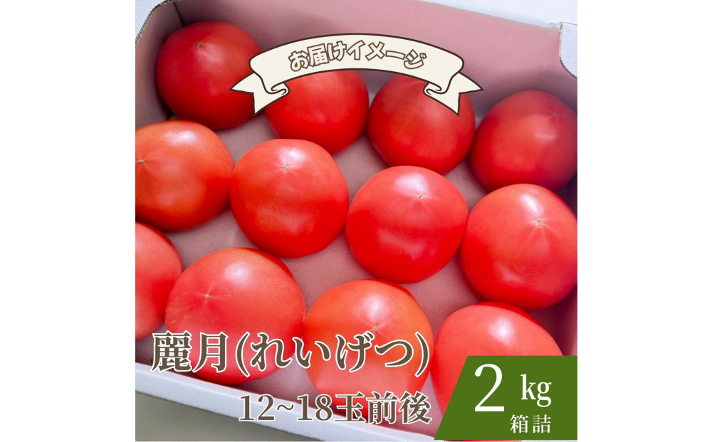 【糖度7度以上！】甘い★麗月トマト2ｋｇ