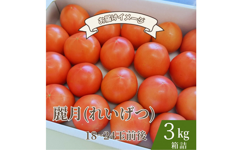 【糖度7度以上！】甘い★麗月トマト3ｋｇ