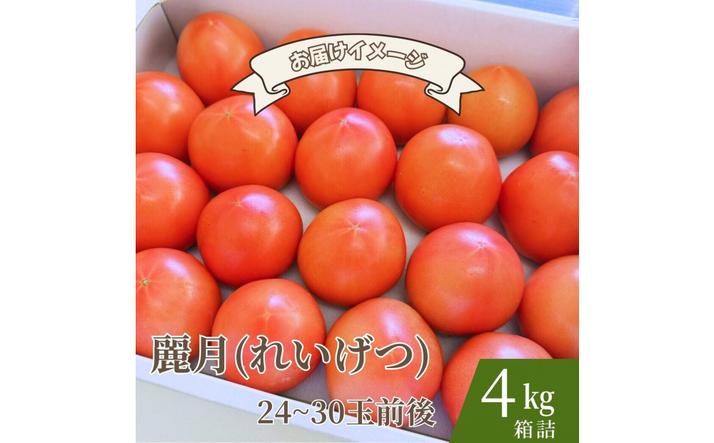 【糖度7度以上！】甘い★麗月トマト4ｋｇ