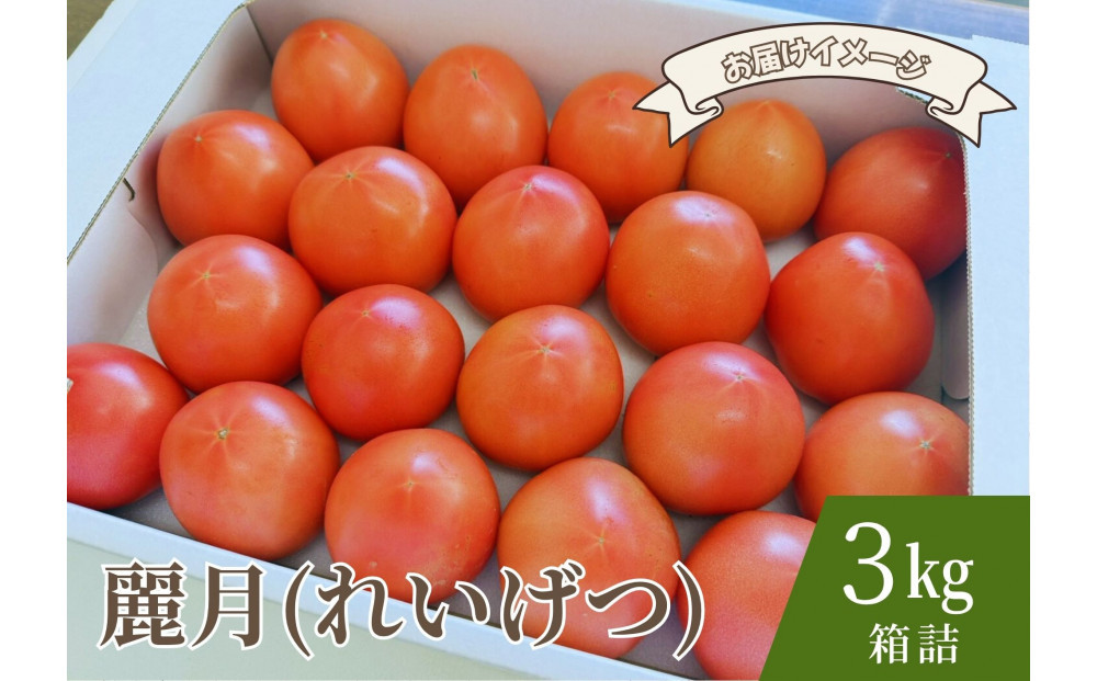 デリシャスファームのトマト(麗月)3キロ箱