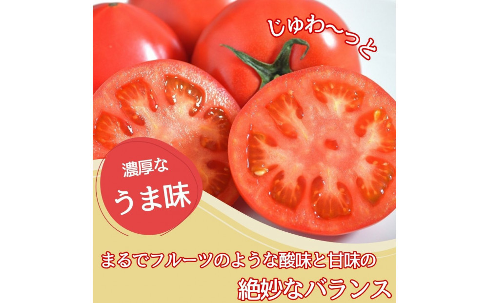 【糖度7度以上！】甘い★麗月トマト3ｋｇ