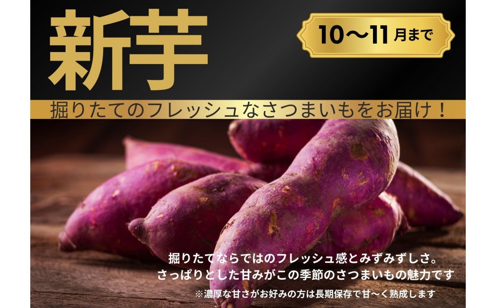 【お得な訳あり！】　さつまいも　紅はるか10kg