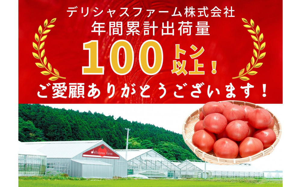 デリシャスファームのトマト(麗月)2キロ箱