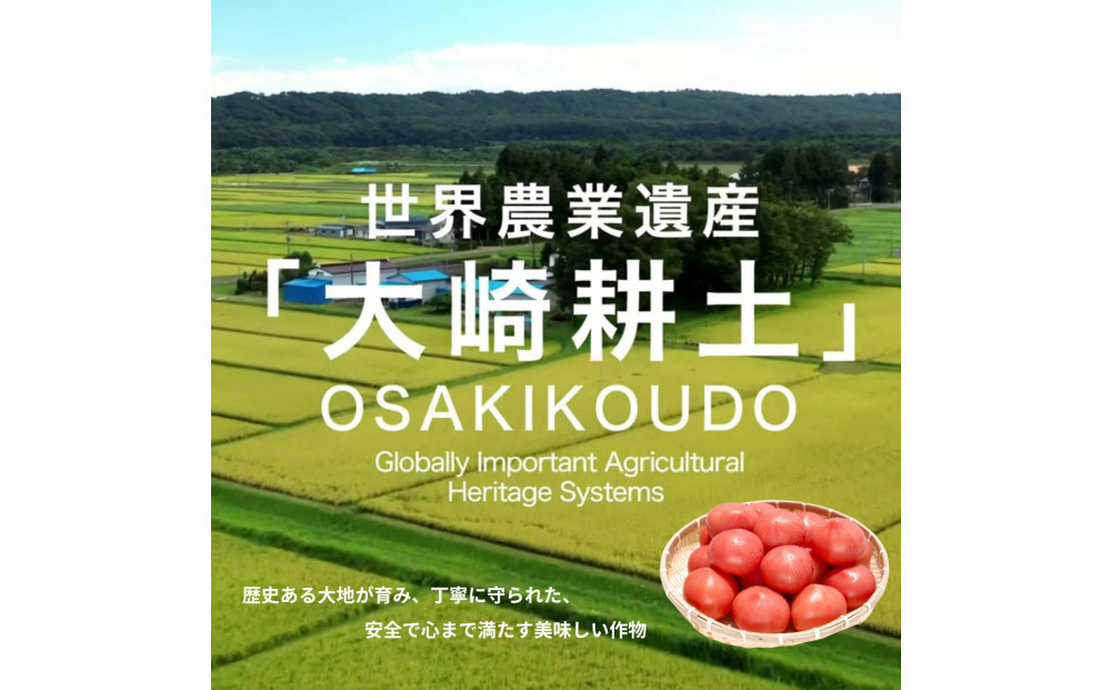 【糖度7度以上！】甘い★麗月トマト1ｋｇ