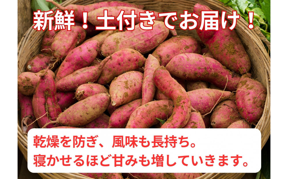 甘くてしっとり★さつまいも(紅はるか)10kg