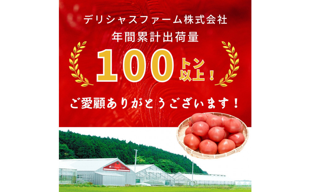 【糖度7度以上！】甘い★麗月トマト1ｋｇ