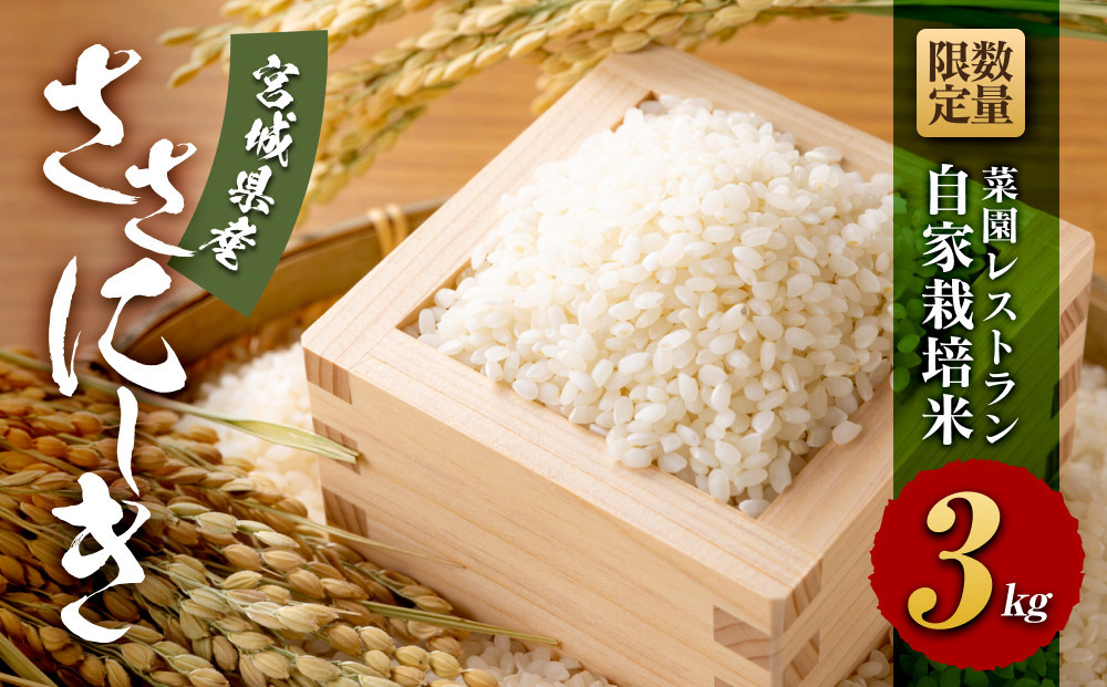 【令和7年産】数量限定　菜園レストラン「野の風」自家栽培米　ササニシキ3kg