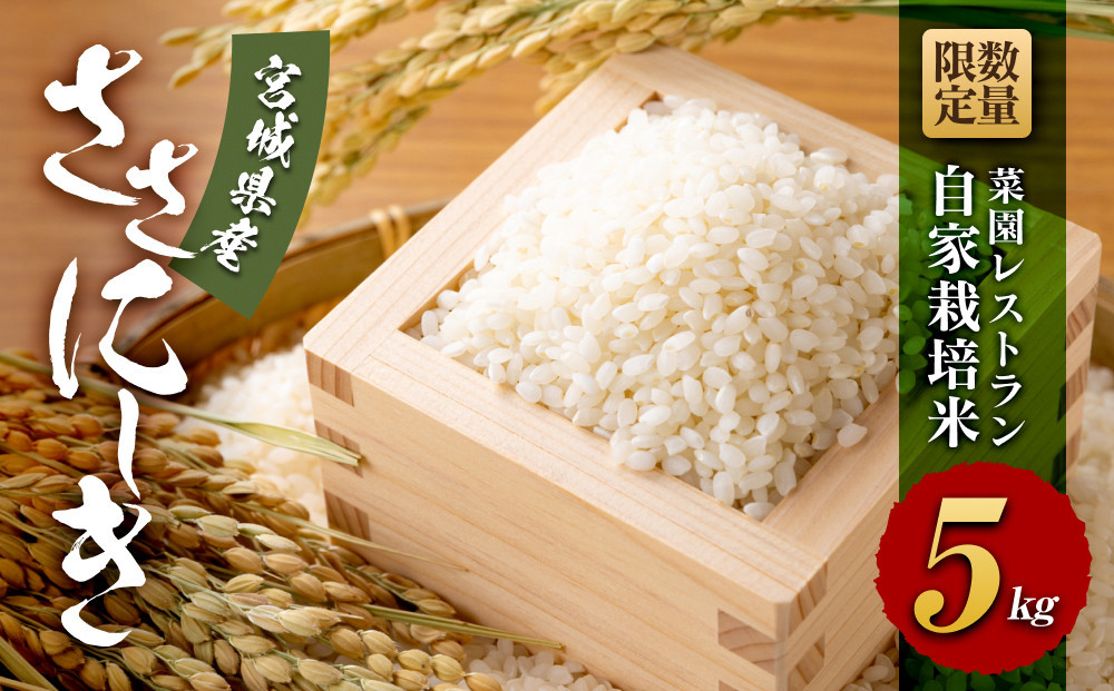 【令和7年産】数量限定 　菜園レストラン「野の風」自家栽培米　ササニシキ5kg