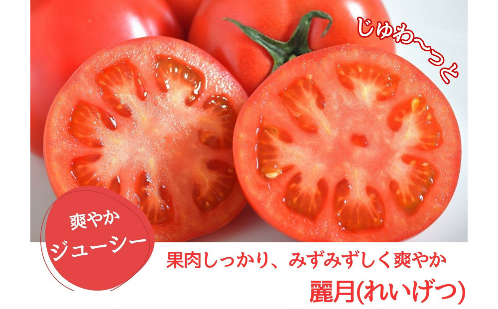 デリシャスファームのトマト(麗月)1キロ箱