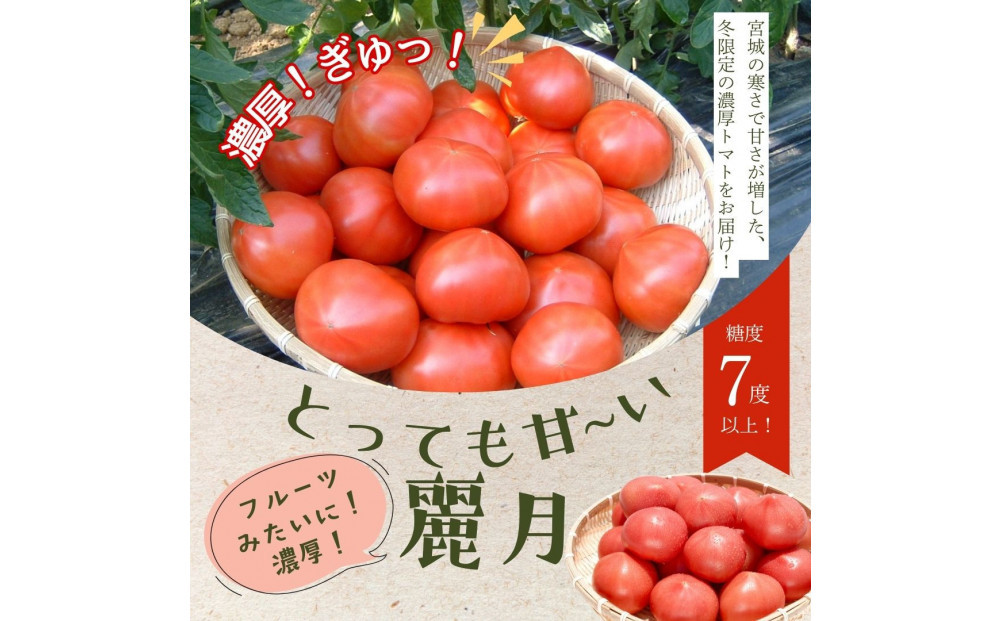 【糖度7度以上！】甘い★麗月トマト1ｋｇ