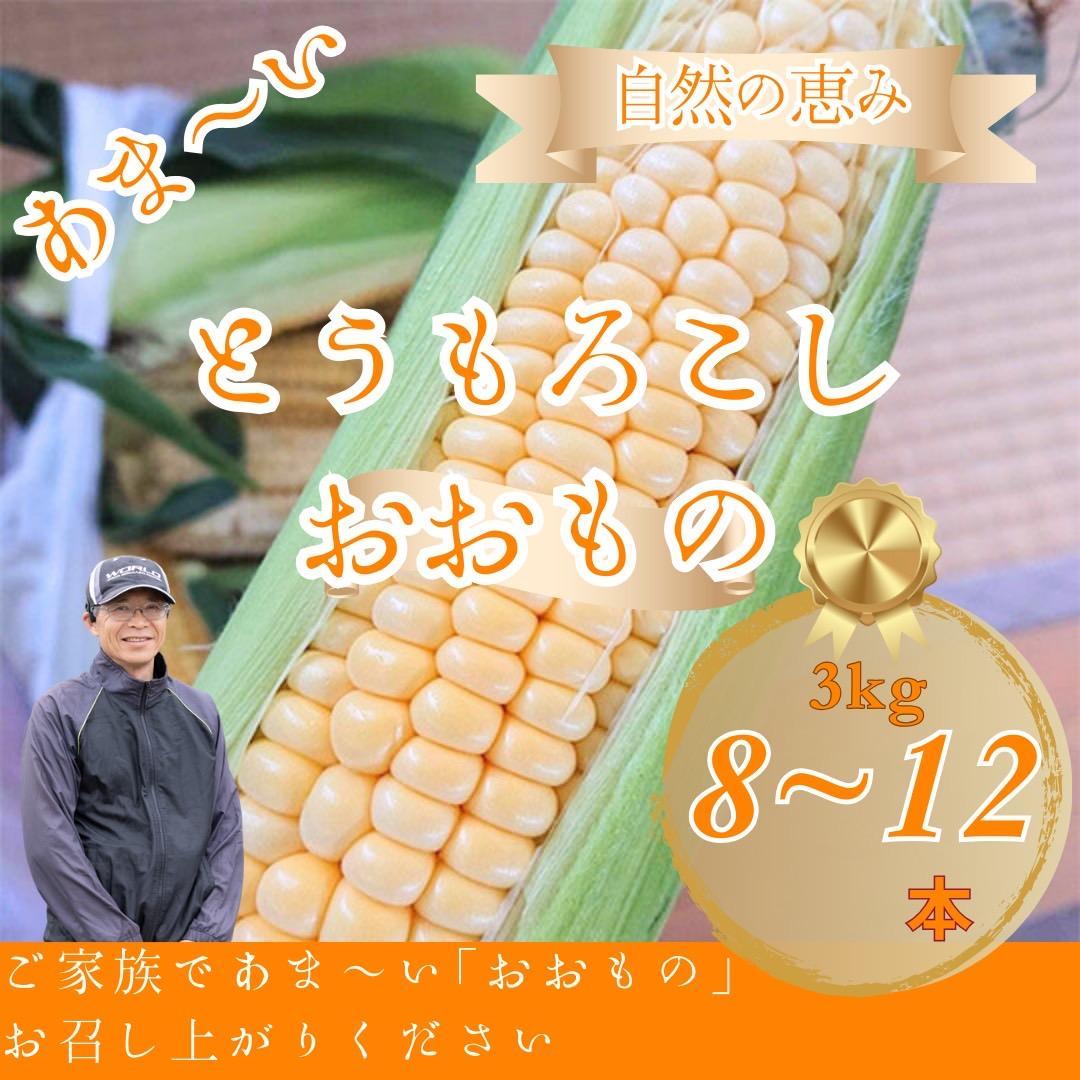 とうもろこし おおもの 約3kg(8～12本)