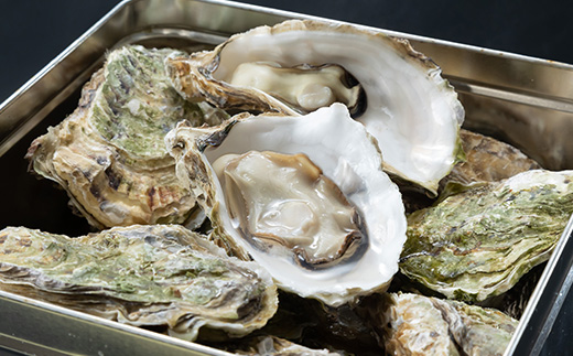 潮香焼セット(殻付き牡蠣・カンカン焼き)ナイフ・軍手入り【配送不可地域：離島・沖縄県・九州】