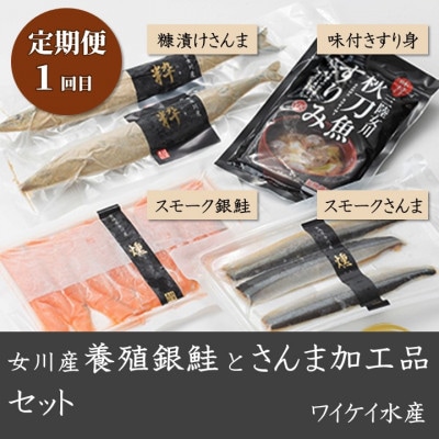 【3ヵ月毎定期便】さんま加工品食べ比べセット全4回【配送不可地域：離島】