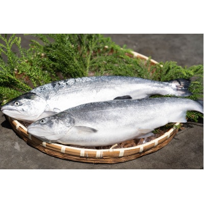 近海お刺身詰め合わせ(サーモン・ひらめ・真鯛・平目昆布〆) 各60g×2パック【配送不可地域：離島】