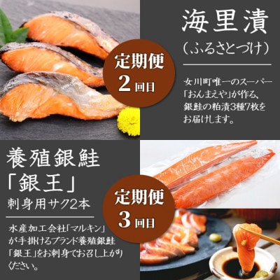 【3ヵ月毎定期便】大定番!女川の水産加工品セット全4回【配送不可地域：離島】