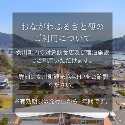 「女川ふるさと便」1000円分×12枚