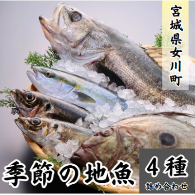 季節の地魚4種詰合せ　刺身用 宮城県産【配送不可地域：離島】